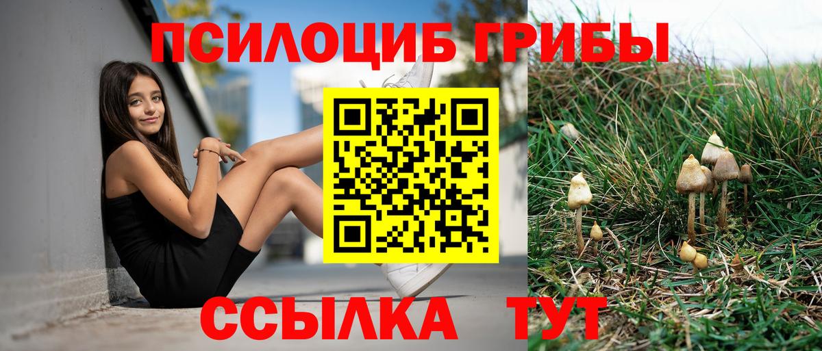 Галлюциногенные грибы ЛСД  Вход с VPN  купить наркоту  Электрогорск 